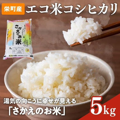 令和8年産米(数量限定)ちばエコ認定米 栄町産 コシヒカリ5kg 長谷川農園|令和8年産 白米 精米 お米 コメ ごはん お弁当 おにぎり 人気 おすすめ 11-46