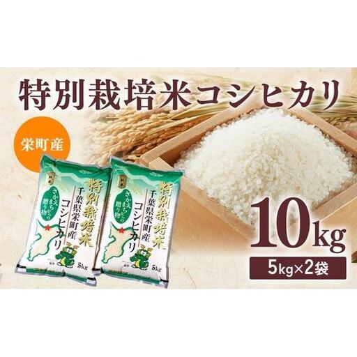 令和8年産米(数量限定)栄町産 特別栽培米 コシヒカリ10kg(5kg袋×2)ちば緑耕舎 ※2026年10月〜発送 19-1|令和8年産 白米 精米 お米 コメ ごはん お弁当 おにぎり 人気 おすすめ