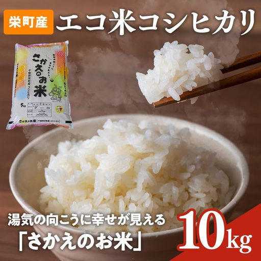 令和8年産米（数量限定）ちばエコ認定米 栄町産 コシヒカリ10kg（5kg袋×2） 長谷川農園｜令和8年産 白米 精米 お米 コメ ごはん お弁当 おにぎり 人気 おすすめ 18-2
