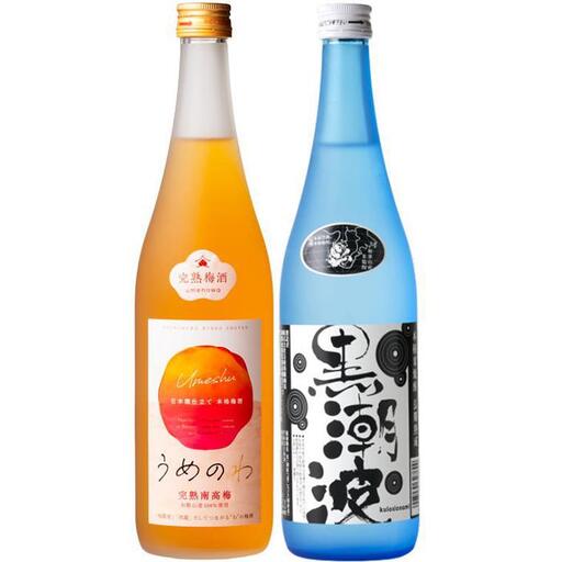 焼酎 黒潮波（くろしおなみ）720mlと紀州完熟南高梅「梅酒」720mlの2本セット【TM19】