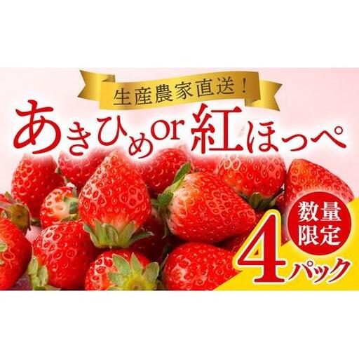 岡戸農園　いちご（4パック）＊「あきひめ」あるいは「紅ほっぺ」数量限定 16ｰ7 ※2027年1月～発送