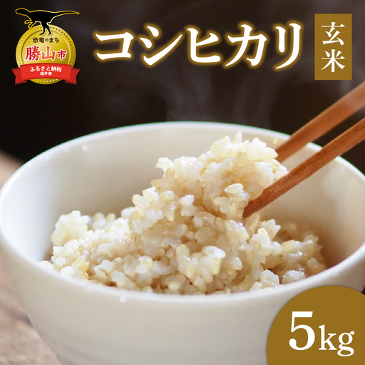 米 コシヒカリ 勝山市産 田中さんち 玄米 5kg [A-080012]