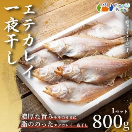 [旨み引き立つ]一夜干し エテカレイ 約800g 1セット[配送不可地域:離島]