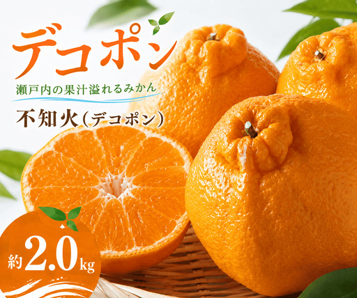 [3月上旬より発送] デコポン 不知火 約2.0kg