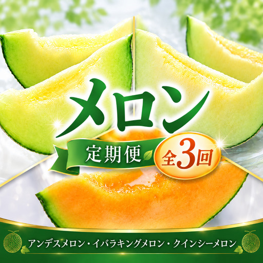メロン 3ヶ月 定期便 アンデス イバラキング クインシー メロン 1玉入