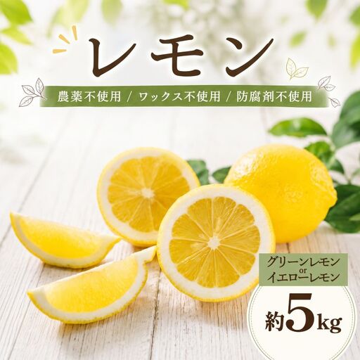 レモン 約5kg グリーンレモン イエローレモン 家庭用 【DRM008】