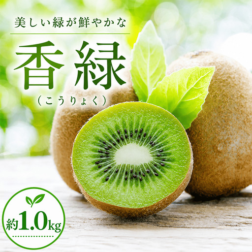 [12月中旬より発送] キウイ 香緑 約1.0kg