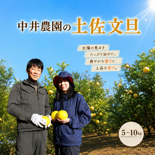 文旦 5kg 家庭用 中井農園