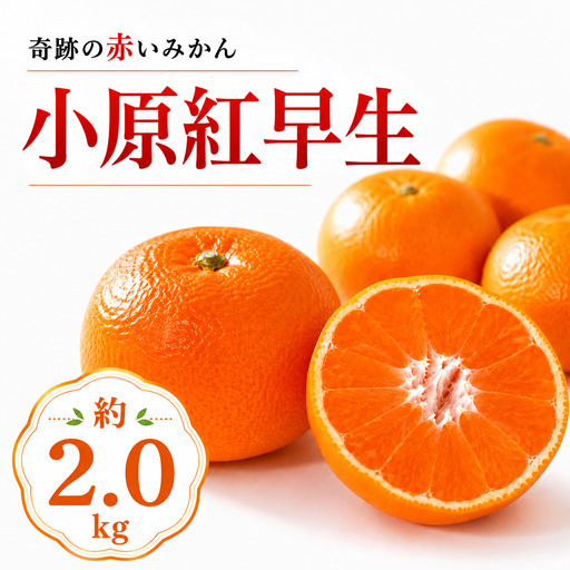 【11月中旬より発送】 小原紅早生 約2.0kg みかん 