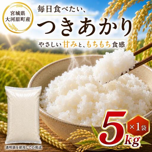 つきあかり 5kg 令和8年産 新米 ブランド米 白米 精米 [小分け] 宮城県大河原町産