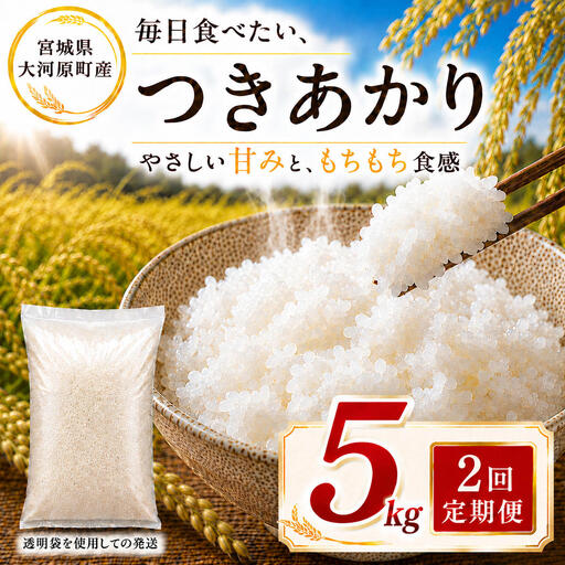 つきあかり 定期便 2回/5kg×1袋 令和8年産 新米 ブランド米 白米 精米 [小分け] 宮城県大河原町産