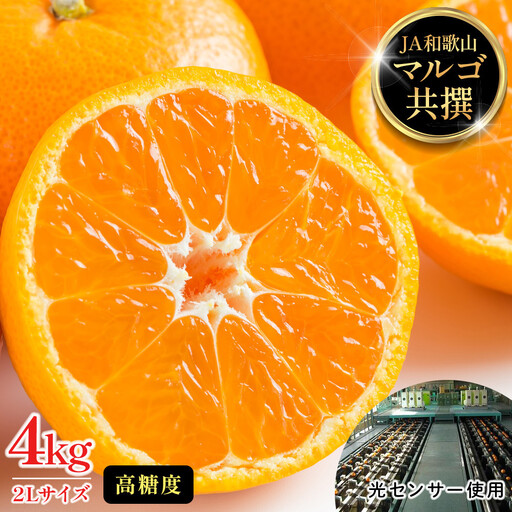 有田みかん 4kg 2Lサイズ 光センサー使用 高糖度