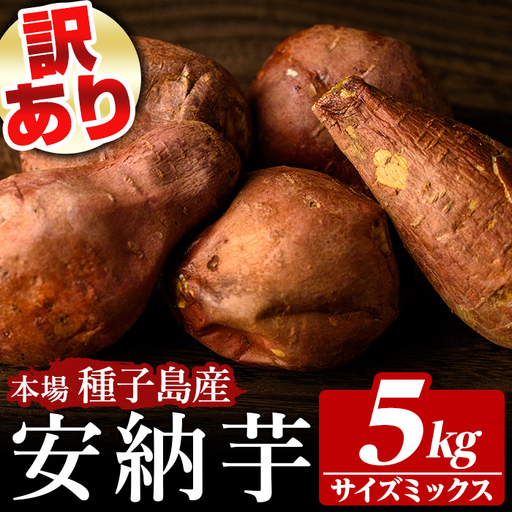 訳あり 安納芋 5kg・サイズミックス 国産 鹿児島 種子島 さつまいも B級 [種子島安納株式会社]n461