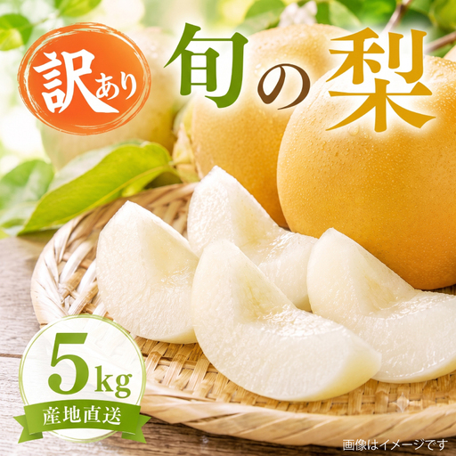 [訳あり] 梨 約5kg 先行予約 茨城県産 あきづき にっこり おまかせ 期間限定 2026年