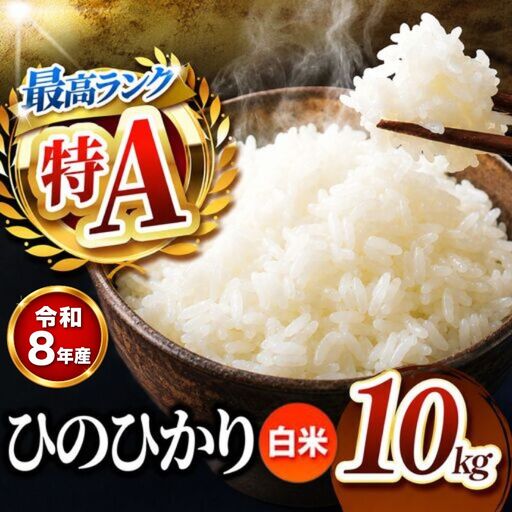 【R8年産】熊本県産 ひのひかり 白米 10kg
