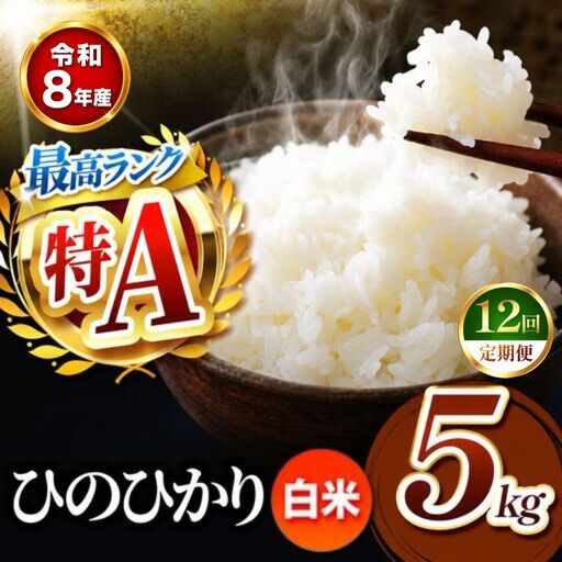 【 定期便 12回 】R8年産 熊本県産 白米 ひのひかり 5kg