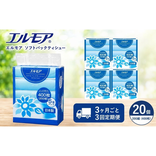 [3ヶ月ごと3回定期便]エルモア ソフトパックティシュー 400枚(200組) × 5個 × 4パック