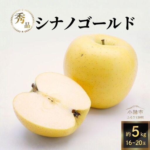 りんご シナノゴールド 秀品 約5kg 16～20玉入 リンゴ