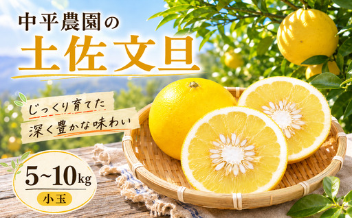 文旦 5kg 家庭用 中平農園