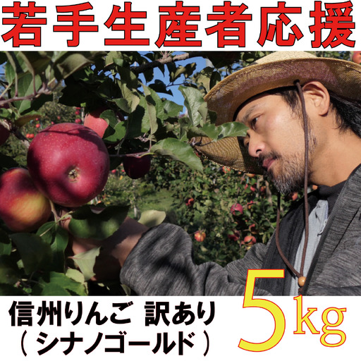 【2026年 先行予約 令和8年産】 訳あり りんご 5kg 【若手生産者応援】 シナノゴールド 伊藤 快 果物 フルーツ 先行 予約 信州 麻績村 不揃い 規格外 家庭用