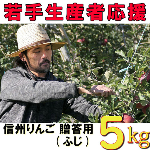 【2026年 先行予約 令和8年産】 りんご 5kg 期間限定 【若手生産者応援】 ふじ サンふじ 伊藤 快 贈答用 果物 フルーツ 先行 予約 信州 麻績村