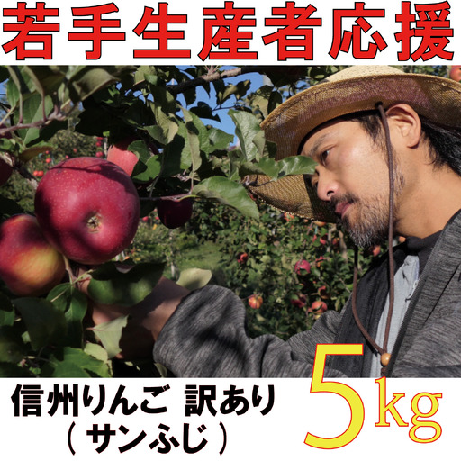 【2026年 先行予約 令和8年産】 訳あり りんご 5kg 期間限定 【若手生産者応援】 ふじ サンふじ 伊藤 快 果物 フルーツ 信州 麻績村 不揃い 規格外 家庭用