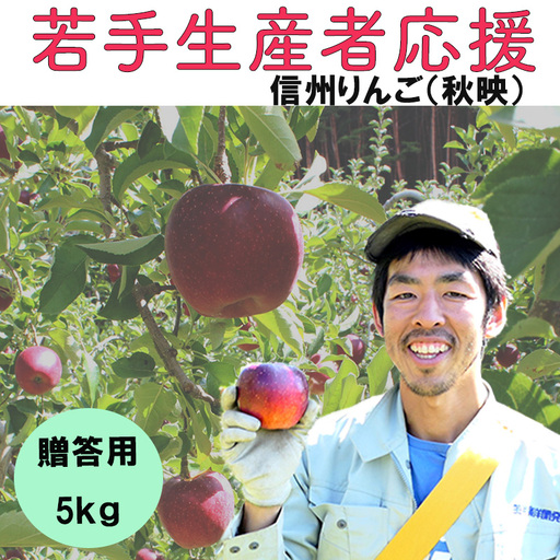 【2026年 先行予約 令和8年産】 りんご 5kg 【若手生産者応援】秋映 川上啓介 贈答用 果物 フルーツ 先行 予約 信州 麻績村
