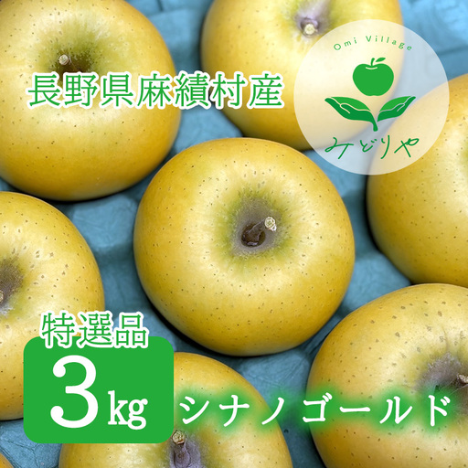 [2026年 先行予約 令和8年産]長野 麻績村 りんご 期間限定 特選品 3kg ギフト 自宅用 贈り物 自宅用にも ギフトにも 堤 みどりや シナノゴールド 産地直送 新返礼品