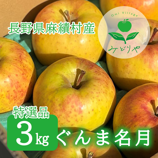 [2026年 先行予約 令和8年産]長野 麻績村 りんご 期間限定 特選品 3kg ギフト 自宅用 贈り物 自宅用にも ギフトにも 堤 みどりや ぐんま名月 産地直送 新返礼品