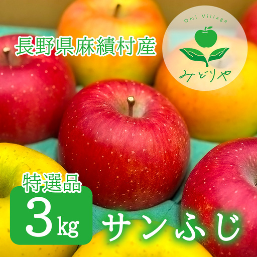 [2026年 先行予約 令和8年産]長野 麻績村 りんご 期間限定 特選品 3kg ギフト 自宅用 贈り物 自宅用にも ギフトにも 堤 みどりや ふじ サンふじ 産地直送 新返礼品