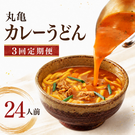 [定期便3回]丸亀のカレーうどん 24人前 3回 定期便