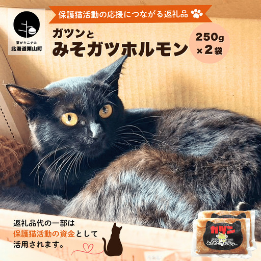 ガツんとみそガツホルモン[保護猫活動につながる返礼品]