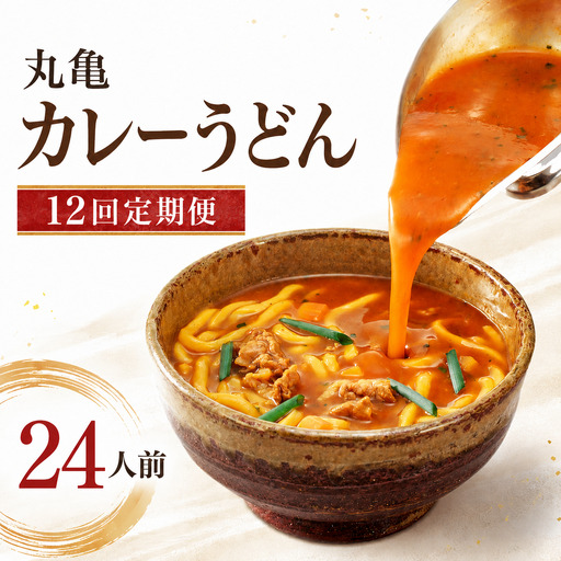 【定期便12回】丸亀のカレーうどん 24人前 12回 定期便