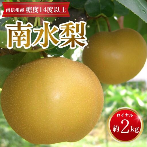 [南信州産]南水梨約2kg 5~6玉入り 糖度14度以上 [9月中旬より発送]