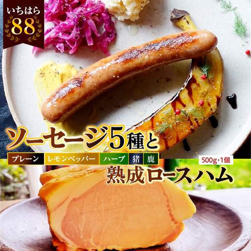 時代家ソーセージ5種詰め合わせ+ハム約500g1個