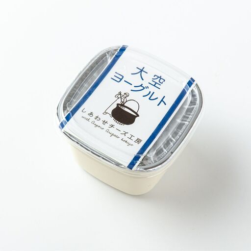 6回定期便 できたて直送「大空 ヨーグルト」 400g×4個×6回 [足寄町][株式会社しあわせチーズ工房][BEAK040]