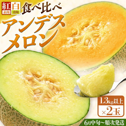 【先行予約】紅白アンデスメロン 青肉・赤肉 食べ比べセット ４L(1玉1.3kg以上）×2玉 ／ 果物 フルーツ 産地直送 糖度 ギフト 贈り物 福井県あわら市 ※2027年6月中旬以降順次発送 [aw067-a006]