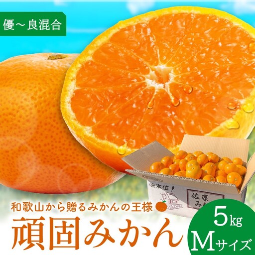 [1337_M]和歌山県天田の頑固みかん 5kg (優〜良混合)サイズ指定可能(S・M・L)Mサイズ