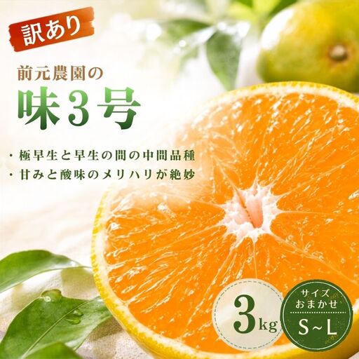 みかん 訳あり 前元農園の味3号 3kg S〜Lサイズおまかせ[mmg040]
