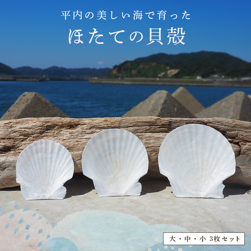 ほたての貝殻(大・中・小)3枚セット [ひらない暮らし北限椿舎] ホタテ 貝殻 サイズ 殻 インテリア 食器 皿 グラタン皿 アウトドア キャンプ 工作 材料 ハンドメイド 青森県 平内町 F21J-370
