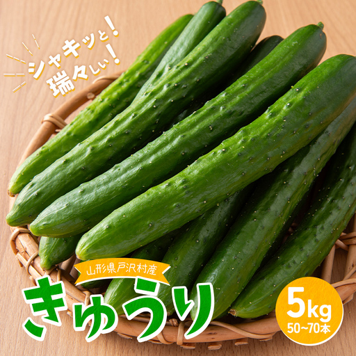 きゅうり 約5kg 山形県 戸沢村産 野菜 夏野菜 胡瓜 キュウリ 産地直送 F7W-0502