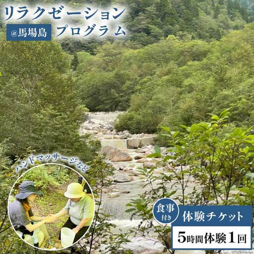 トコトコ森林浴@馬場島 リラクゼーションプログラム 5時間 食事付き / エコツアー トコトコ / 富山県 上市町 [32280124] 体験 チケット 利用券 旅行 観光 ガイド付き アウトドア 自然体験 森林セラピー