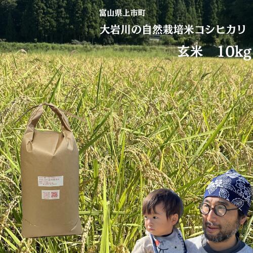 【令和7年産】米 上市町産  大岩川の自然栽培米 亀の尾（玄米）10kg [有吉自然農場] お米 コメ ご飯 ごはん 亀の尾 富山県産