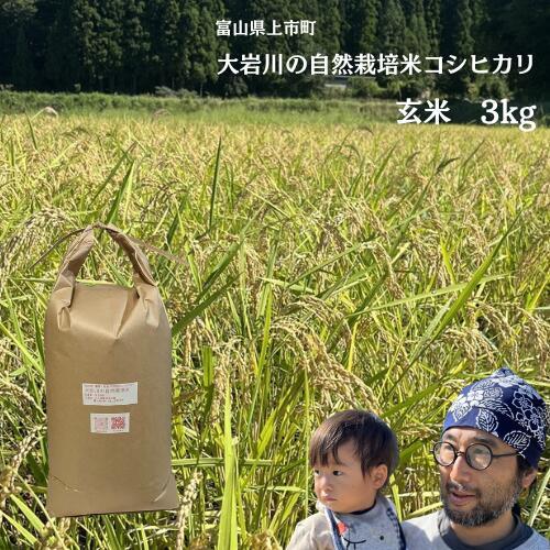 【令和7年産】米 上市町産  大岩川の自然栽培米 亀の尾（玄米）3kg [有吉自然農場] お米 コメ ご飯 ごはん 亀の尾 富山県産