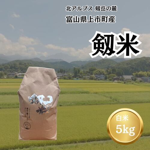 【令和7年産】上市町産コシヒカリ「剱米」（白米）5kg　 [ソムリエH 富山県 上市町 32280236-r6-03] 　お米 コメ ご飯 ごはん ご飯 ごはん こしひかり