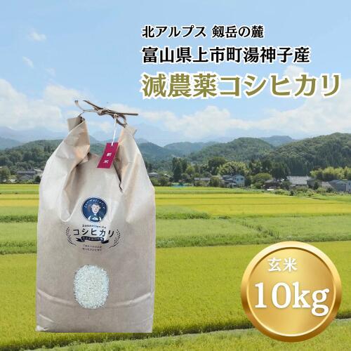【令和7年産】減農薬 上市町湯神子産コシヒカリ（玄米）10kg　 [ソムリエH 富山県 上市町 32280233-r6-03] 　お米 コメ ご飯 ごはん 玄米ご飯 玄米ごはん こしひかり