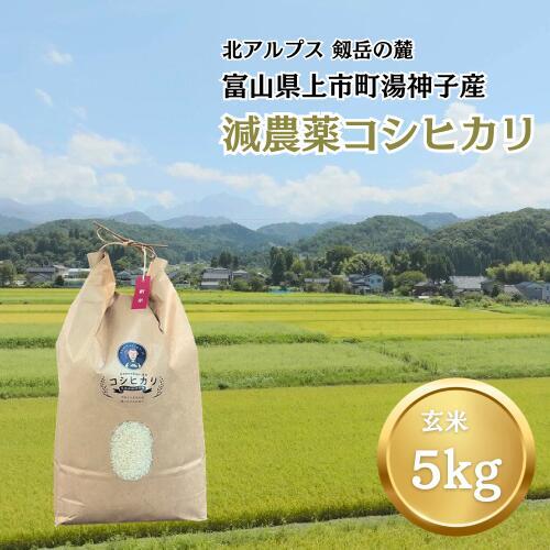 【令和7年産】減農薬 上市町湯神子産コシヒカリ（玄米）5kg　 [ソムリエH 富山県 上市町 32280233-r6-02] 　お米 コメ ご飯 ごはん 玄米ご飯 玄米ごはん こしひかり