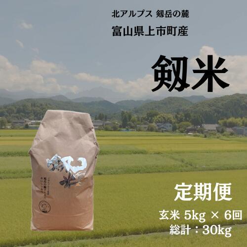 【毎月1回お届け】【定期便】【令和7年産】上市町産コシヒカリ「剱米」（玄米）5kg x 6回 計30kg　 [ソムリエH 富山県 上市町 32280253-r6-03】 米 ６ヶ月 6回定期便 定期購入 お米 コメ ご飯 ごはん 玄米ご飯 玄米ごはん こしひかり