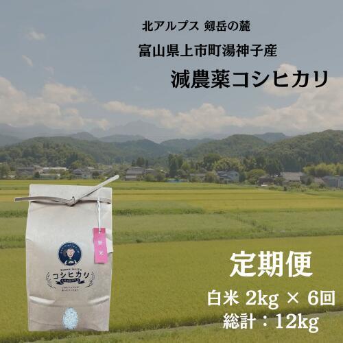 【毎月1回お届け】【定期便】【令和7年産】減農薬 上市町湯神子産コシヒカリ（白米）2kg x 6回 計12kg　 [ソムリエH 富山県 上市町 32280252-r6-01】 米 ６ヶ月 6回定期便 定期購入 お米 コメ ご飯 ごはん 白米ご飯 白米ごはん こしひかり