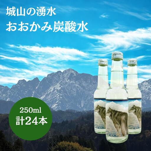 炭酸水 おおかみ炭酸水 250ml×24本 [城山の湧水 富山県 上市町 32280275-r6] 炭酸水 たんさんすい タンサンスイ 炭酸 城山の湧水 湧水 湧き水 スパークリングウォーター ドリンク 軟水 長期保存